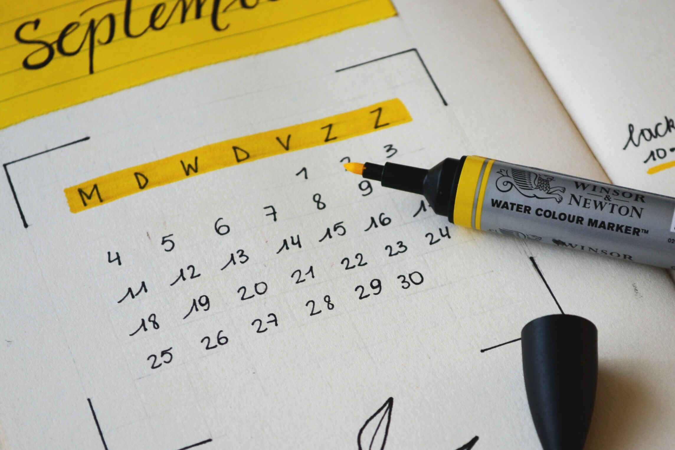 Wedding Planning Timeline & Checklist — Emily Post