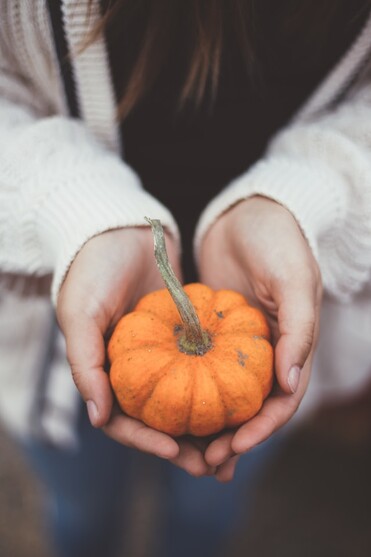 photo: hands holding a small pumpkin like a gift
