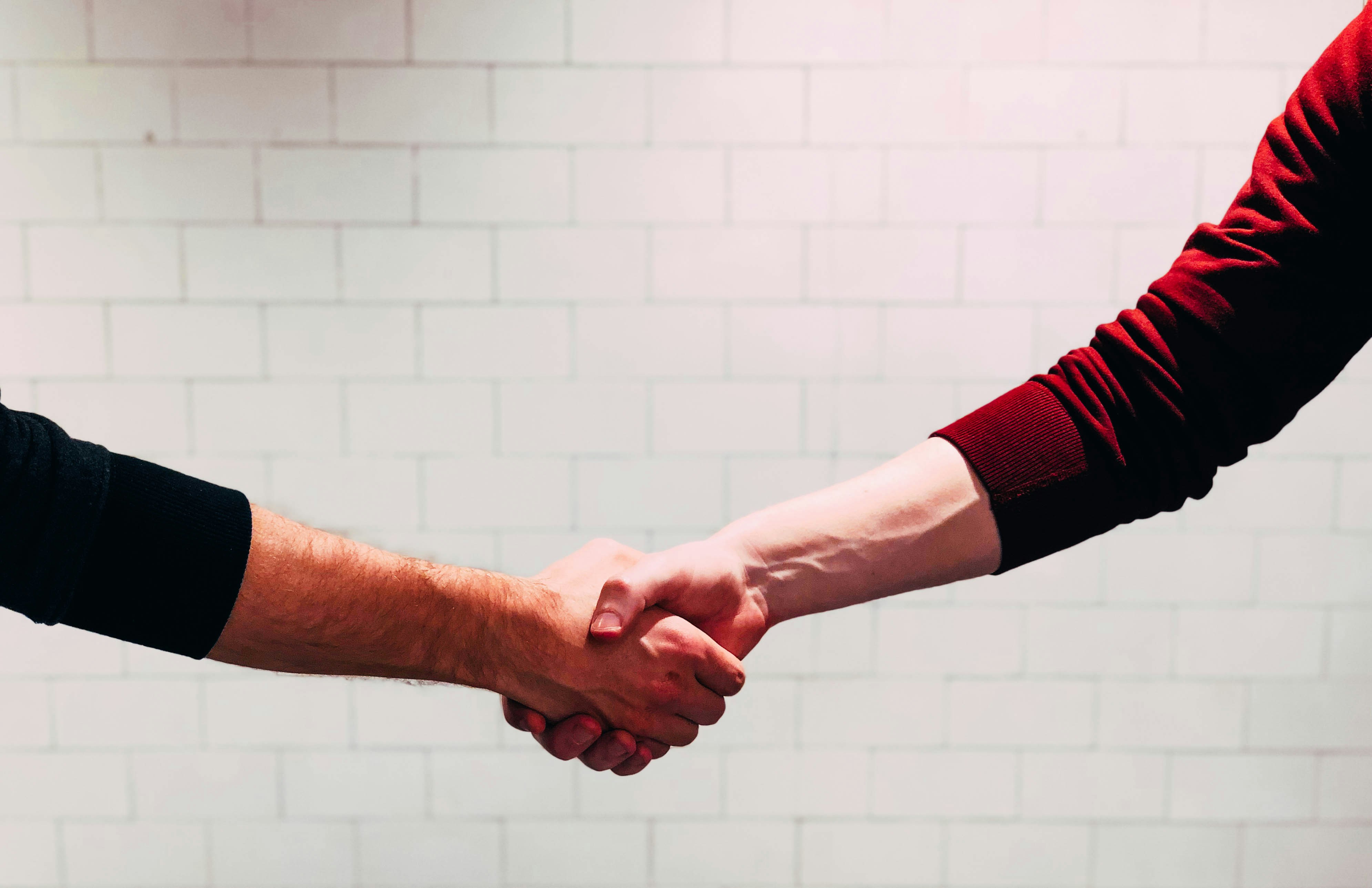 photo: two hands shaking in a handshake. Warm light, casual sweater sleaves.