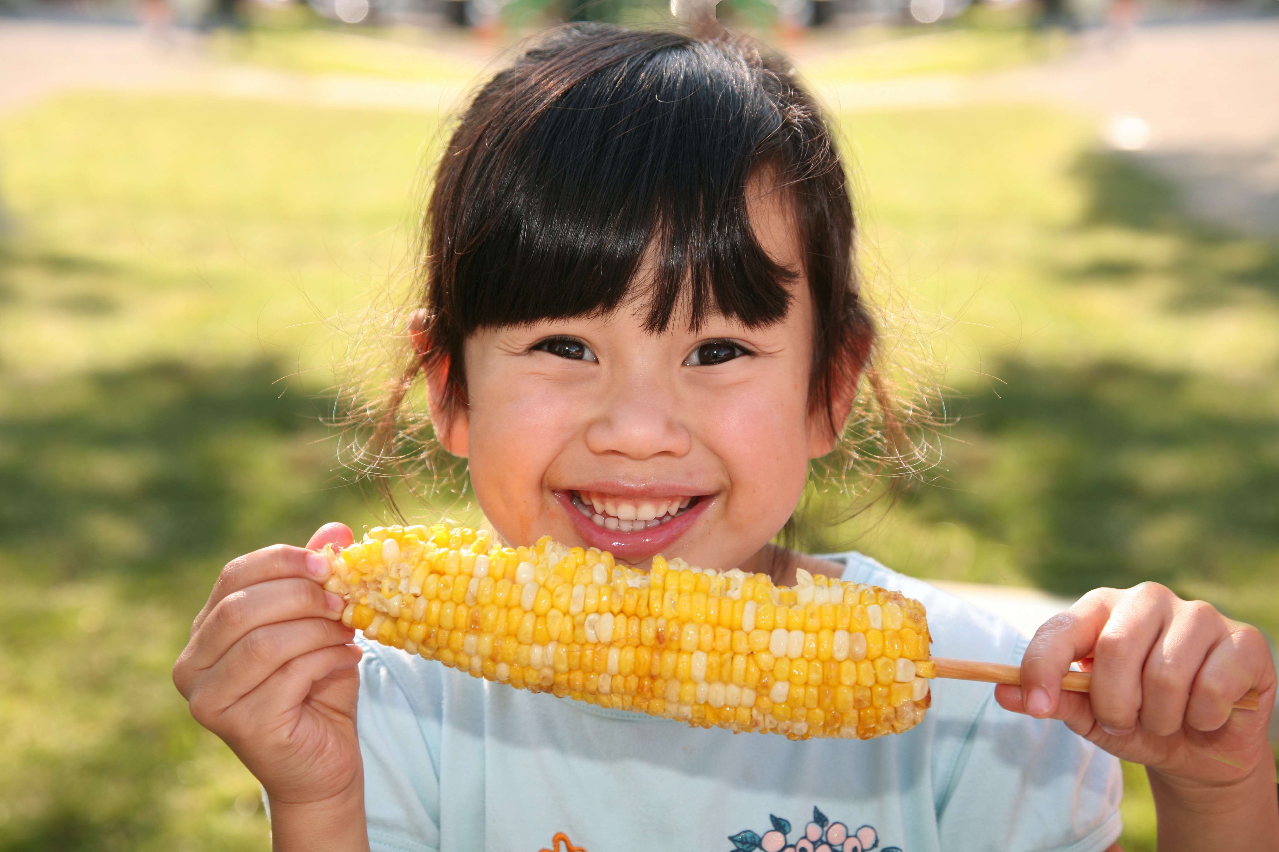 Can Dogs Eat Uncooked Corn On The Cob