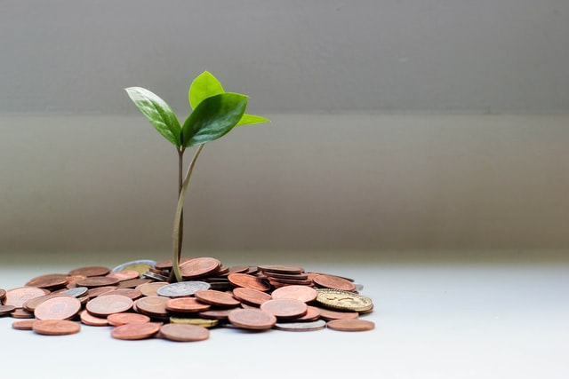 photo: a small tree sprouting from a small pile of coins