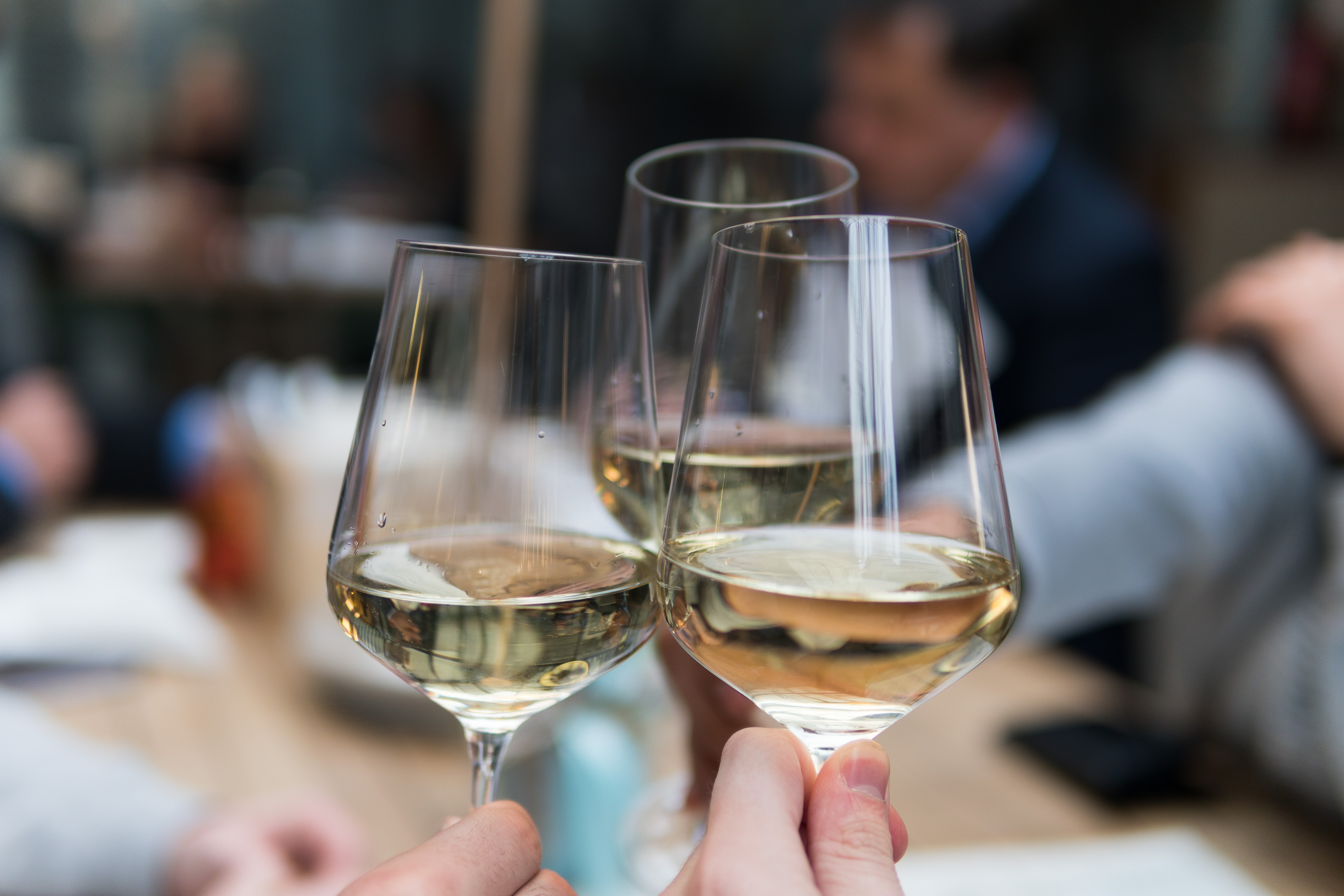 people toasting with wine glasses filled with white wine